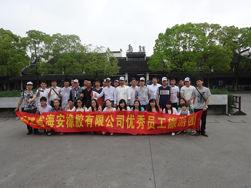 公司组织2015年度优秀员工赴杭州三天游